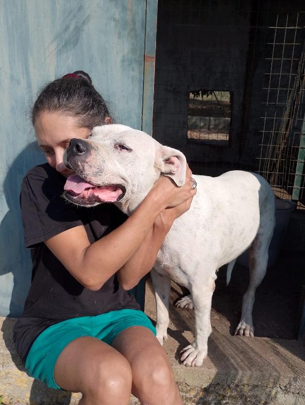 💔 OPI: Una vita in attesa di amore 💔 Foto 9